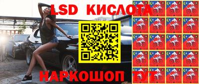 прущие грибы Славянск-на-Кубани