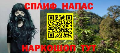 прущие грибы Славянск-на-Кубани